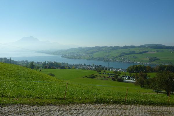 P1100296.JPG