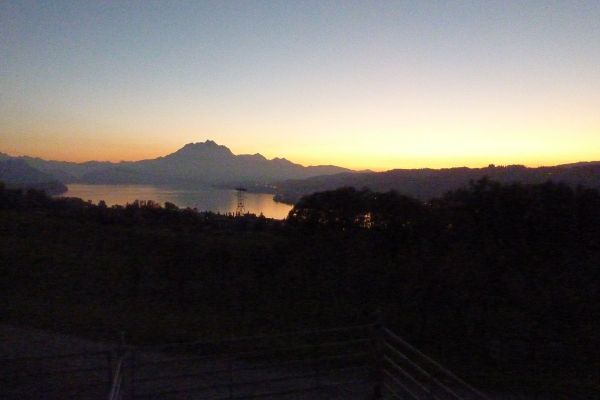P1100376.JPG